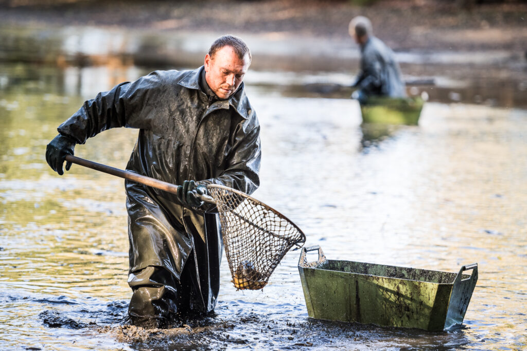 Výlovy 2023 – fotogalerie