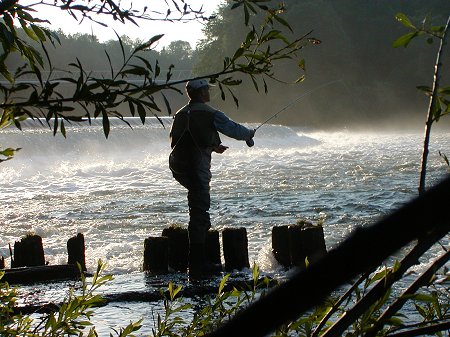 Vážení kolegové rozhodčí,